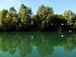 Wild Brenta River