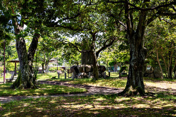 Early summer of Tenjin park in Sanda city, Hyogo, Japan