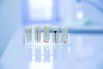 Dentistry, dentist and patient. Dental office.