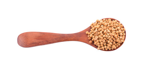 Coriander seed in a wooden spoon isolated on a white background