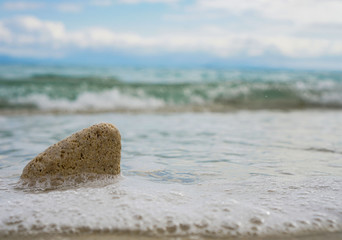 a stone in water on the beach
