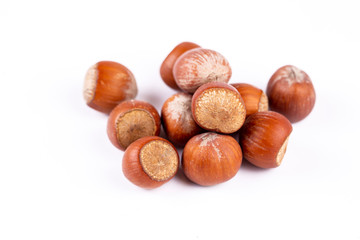  Hazelnut, Food Vega on a white background