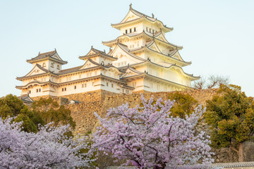 春の姫路城と桜