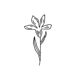 Plant vector doodle illustration. Herbs, flowers. Natural ingredient, organic, vegan cosmetics. Sticker, icon, hand drawn illustration.