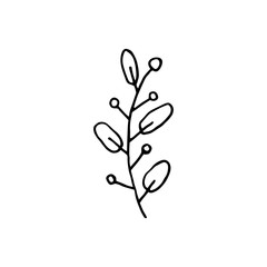 Plant vector doodle illustration. Herbs, flowers. Natural ingredient, organic, vegan cosmetics. Sticker, icon, hand drawn illustration.