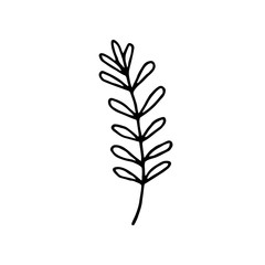 Fototapeta na wymiar Plant vector doodle illustration. Herbs, flowers. Natural ingredient, organic, vegan cosmetics. Sticker, icon, hand drawn illustration.