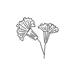 Plant vector doodle illustration. Herbs, flowers. Natural ingredient, organic, vegan cosmetics. Sticker, icon, hand drawn illustration.