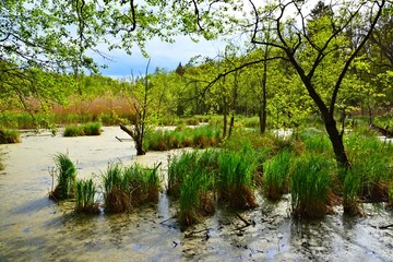  Naturpark Märkische Schweiz bei Karlsdorf