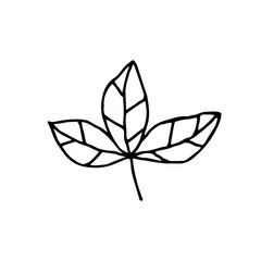 Plant vector doodle illustration. Herbs, flowers. Natural ingredient, organic, vegan cosmetics. Sticker, icon, hand drawn illustration.