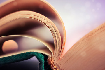 Book pages close up on a light background. Macro photography in bright colors is suitable as a background on the topics of reading, literature, book business, book publishing.