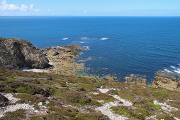Fototapeta na wymiar atlantic littoral (cap de la chèvre) in brittany (france)