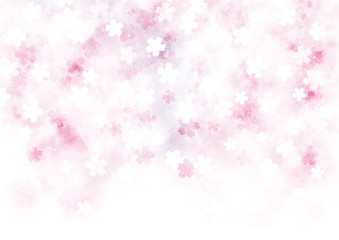 桜　水彩　テクスチャ　背景　ピンク