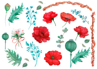 Watercolor set of poppy flowers and fruits.