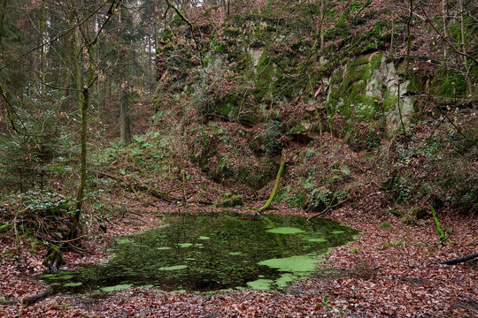 Moorsee vor Steinbruch im Schwarzwald