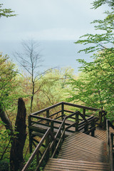 wooden bridge in the forest leading to the mons klint cliffs