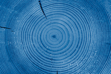 Fototapeta na wymiar Trendy Color of the year 2020 Blue sawn off logs exposing cross-section with cracks. Closeup. Texture of background toned in trendy classic blue color.