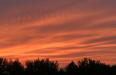 Flaming sunset in early spring