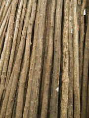 Set of bamboos 