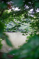 Whörder See in Nürnberg im Nebel