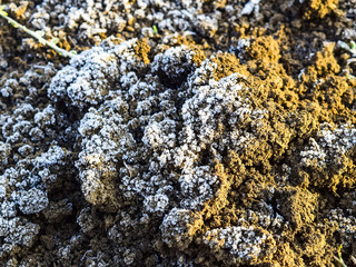 The soil and snow. Frozen ground. Background of the soil and sno