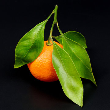Ripe juicy orange mandarin with leaves isolated on a black background