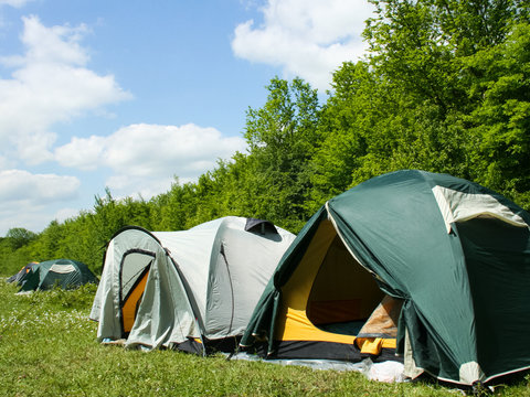 Tourist Tents In Forest At Campsite