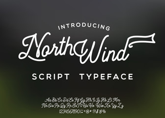 North Wind logo and script font. Original handmade typeface. Stylish font and logo to create prints and posters.