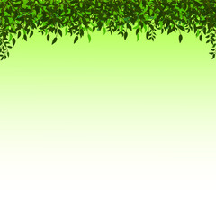 Fototapeta premium frame of branches with leaves on the background with a green and white gradient