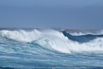 Big Wave 
