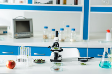 microscope, test tubes, leaves, magnifying glass and apple on table in lab