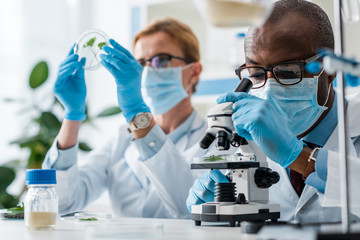 selective focus of african american biologist using microscope and his colleague looking at leaves...