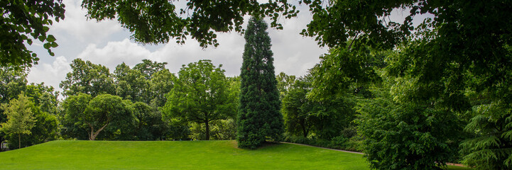 Green lawn in the park.