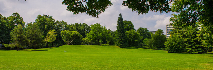 Fototapeta na wymiar Green lawn in the park.
