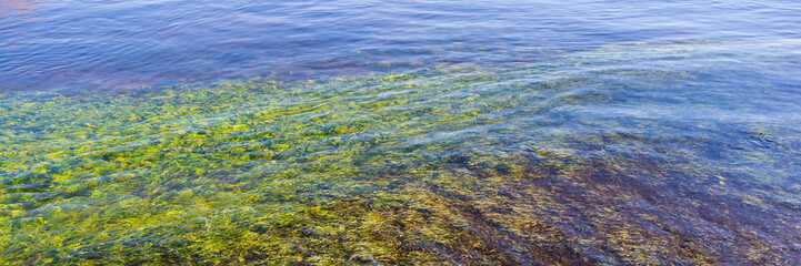 Reflection on the surface of water in the river. Natural landscape. Autumn season.
