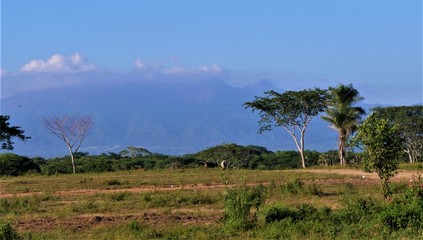 Obraz premium Puerto Vallarta