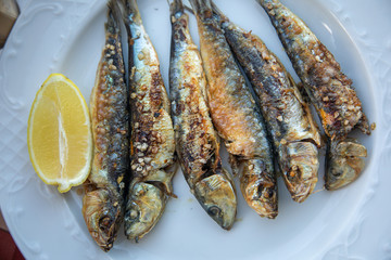 Delicious spanish Sardine Tapa seafood food eating Tapas Spain fish lemon healthy eat