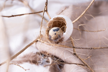  quail egg in nest with feather and golden branches. Selective focus. Rustic style decorations. Selective focus
