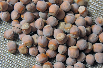 hazelnuts closeup. background