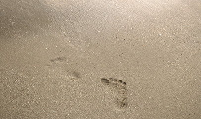 Fototapeta na wymiar Background image Footprints on the brown sand