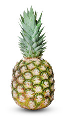 Whole fresh ripe pineapple isolated on white. Clipping path. An element of your design.
