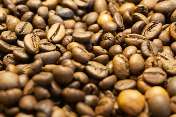 beans closeup