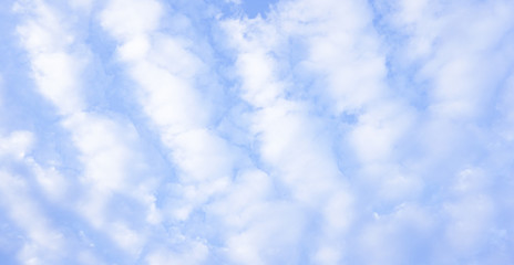 stratocumulus clouds overhead against a blue sky