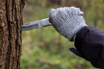 Kinderhand mit Schnittschutzhandschuh steckt Taschenmesser in Baum mit scharfer Klinge in Baumrinde und ist gefährlich für Kinder und Erwachsene