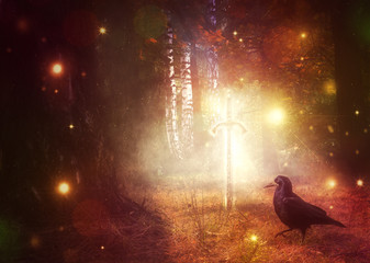 Magic sword in the autumn forest