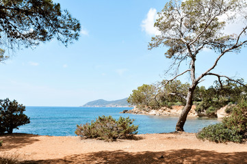 Fototapeta na wymiar northern coast of Ibiza Island, Spain.