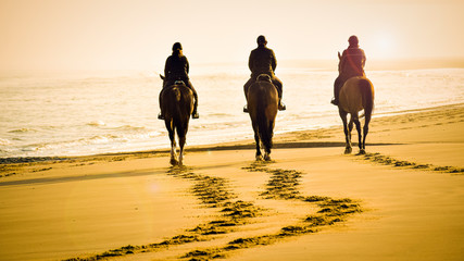 gorgeous picture of three riders with beautiful brown horses riding into the sunset on the beach towards the calm sea. Artistic view over the footsteps on the beach in orange light with lens flare