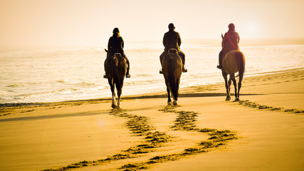 gorgeous picture of three riders with beautiful brown horses riding into the sunset on the beach...