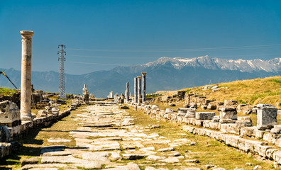 Laodicea on the Lycus, an archaeological site in western Turkey