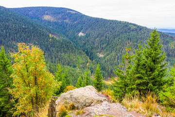 View from the trail to the Śnieżnik Mountain, Poland