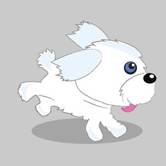 illustration of funny little maltese dog in action pose. Furry pet cute, animal happy. Vector cartoon character 